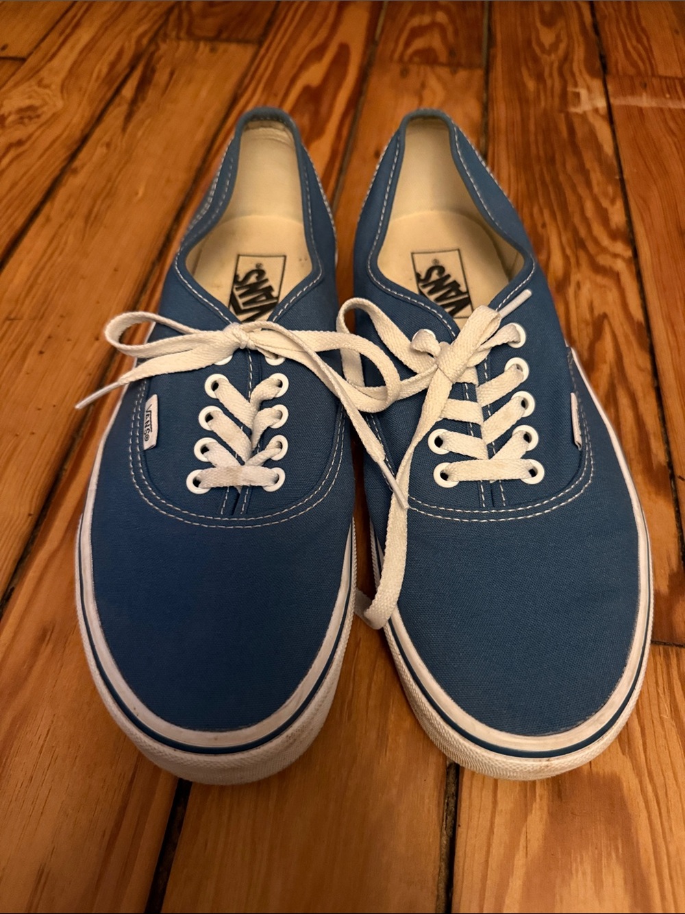Vans Blue Low-Top Canvas Lace-Up Sneakers